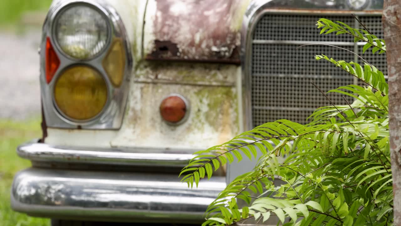 울창 한 무새 에 의해 부분적 으로 가려진 은 자동차