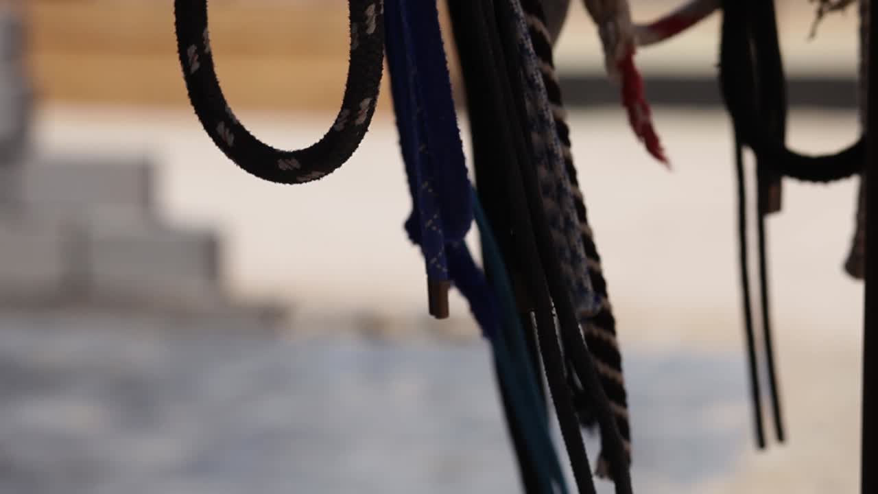 Horse harnesses blow in wind