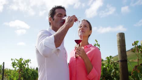 Couple-talking-and-drinking