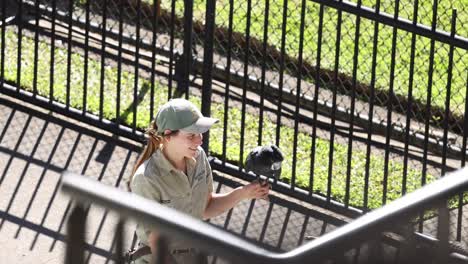 girl showing cockatoo to visitors at zoo