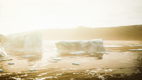 icebergs in a sunlit arctic landscape