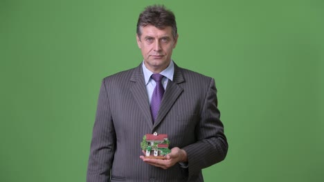 mature handsome businessman against green background