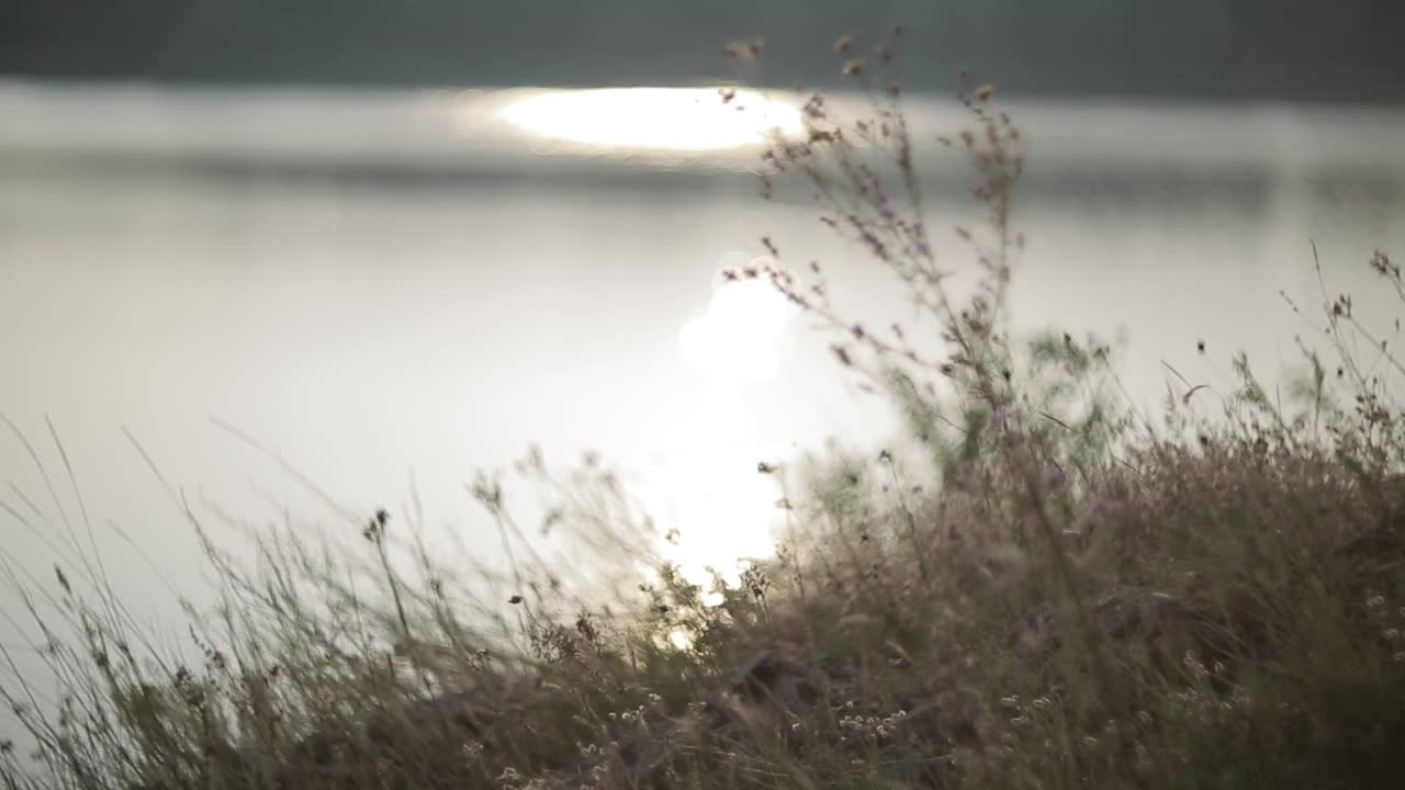 Girl On The Bank Of The River. Adventure girl exploring river bank in countryside