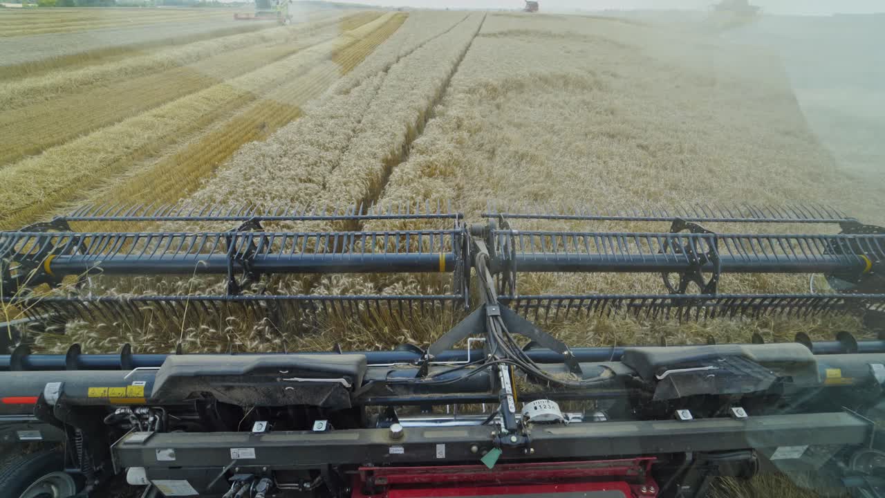 Head cabin and reaping machine. Combine harvester with cutter platform at work