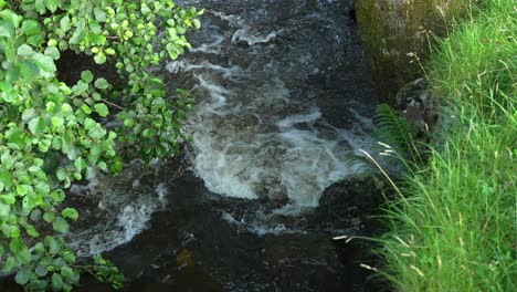 Primer-Plano-De-Agua-Que-Fluye-En-Un-Pequeño-Arroyo-En-La-Campiña-Británica