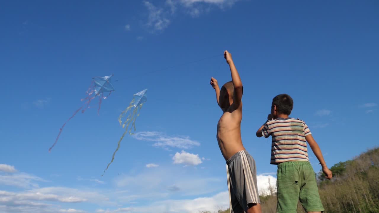 Two Boys Flying Kites