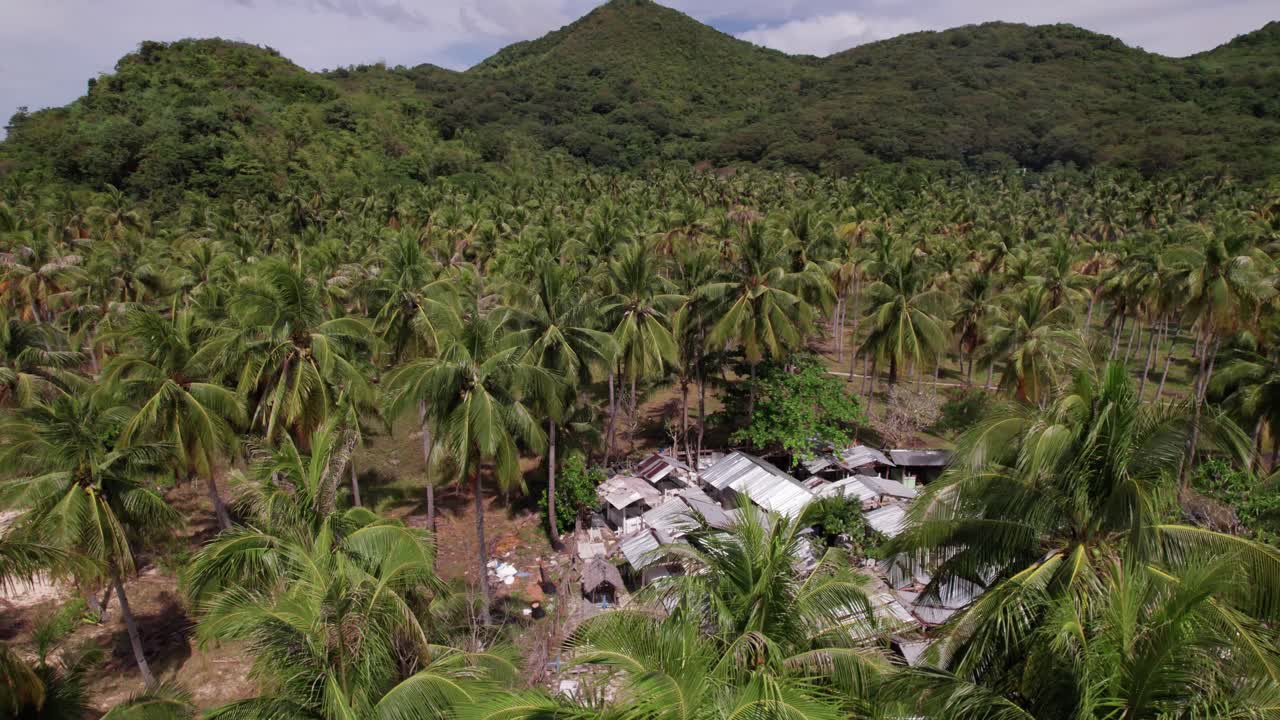 Drone Shot of Abandoned Houses and Homes Between Coconut Trees, Village in Landscape of Iloc Island, Palawan Philippines