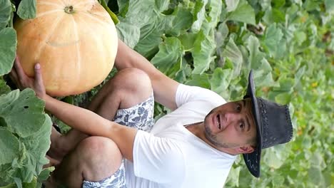 a young farmer grew a large pumpkin a young farmer grew a large pumpkin