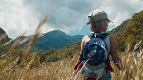 happy inspired child walk through high grass on mountain meadow on journey