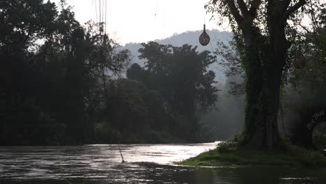 4k of a flowing river in a peaceful environment surrounded by woodland in phetchaburi, thailand