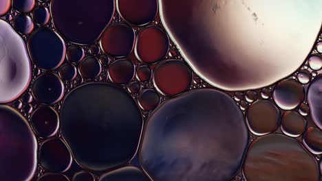 abstract colorful food oil drops bubbles and spheres flowing