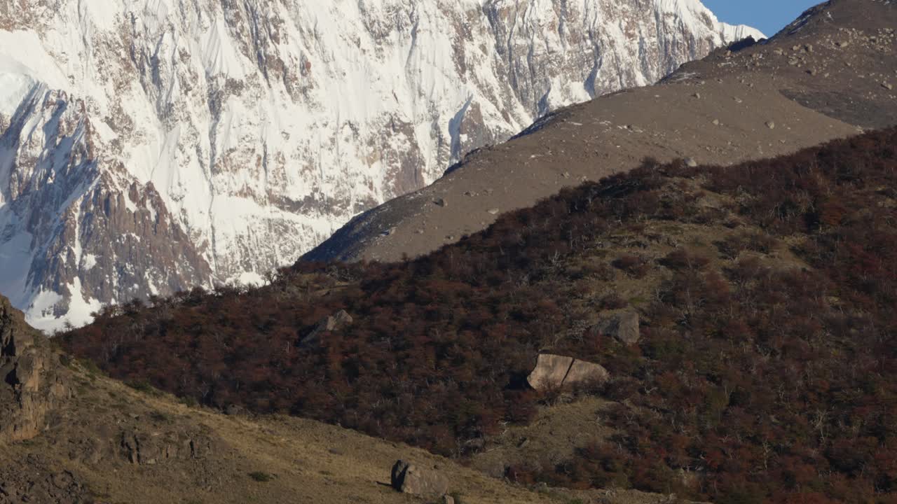 뒷면 에 가을 잎자루 와 눈 인 산꼭대기 가 있는 바위 언덕
