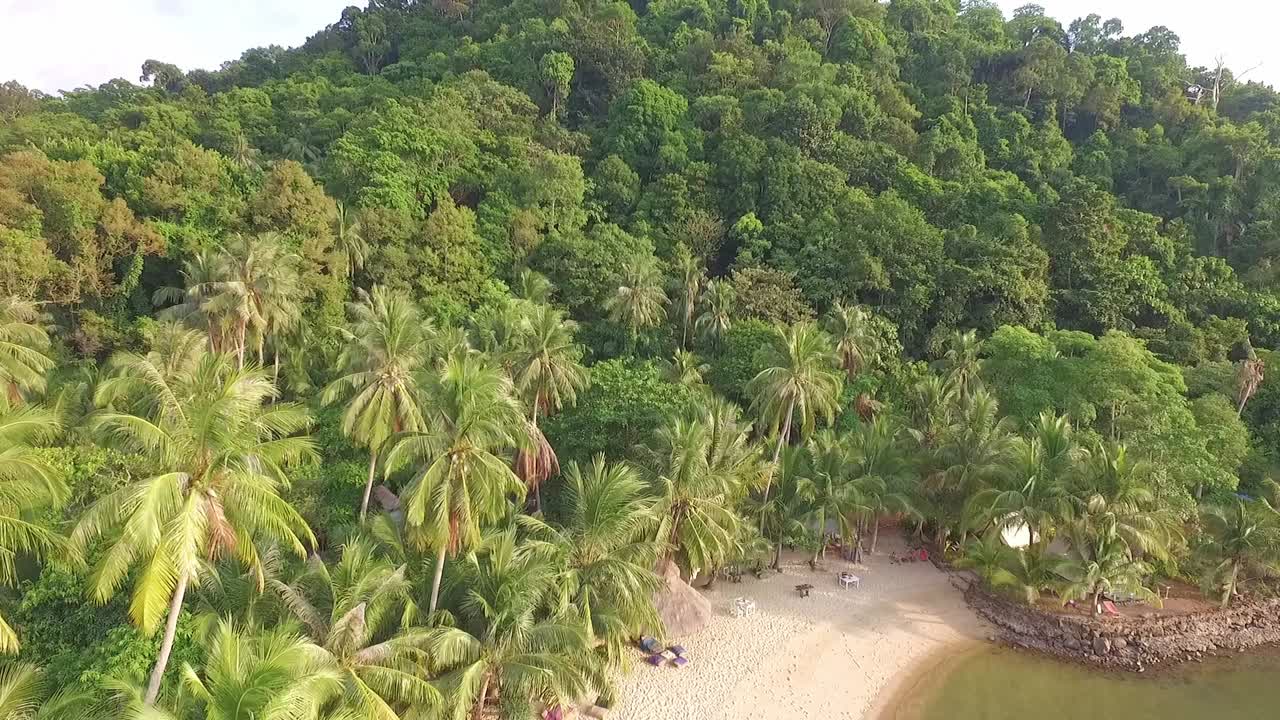 toma de drones de una pequeña playa tropical con palmeras y selva