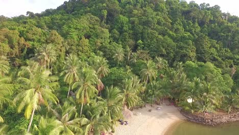 drone strzał małej tropikalnej plaży z palmami i dżunglą