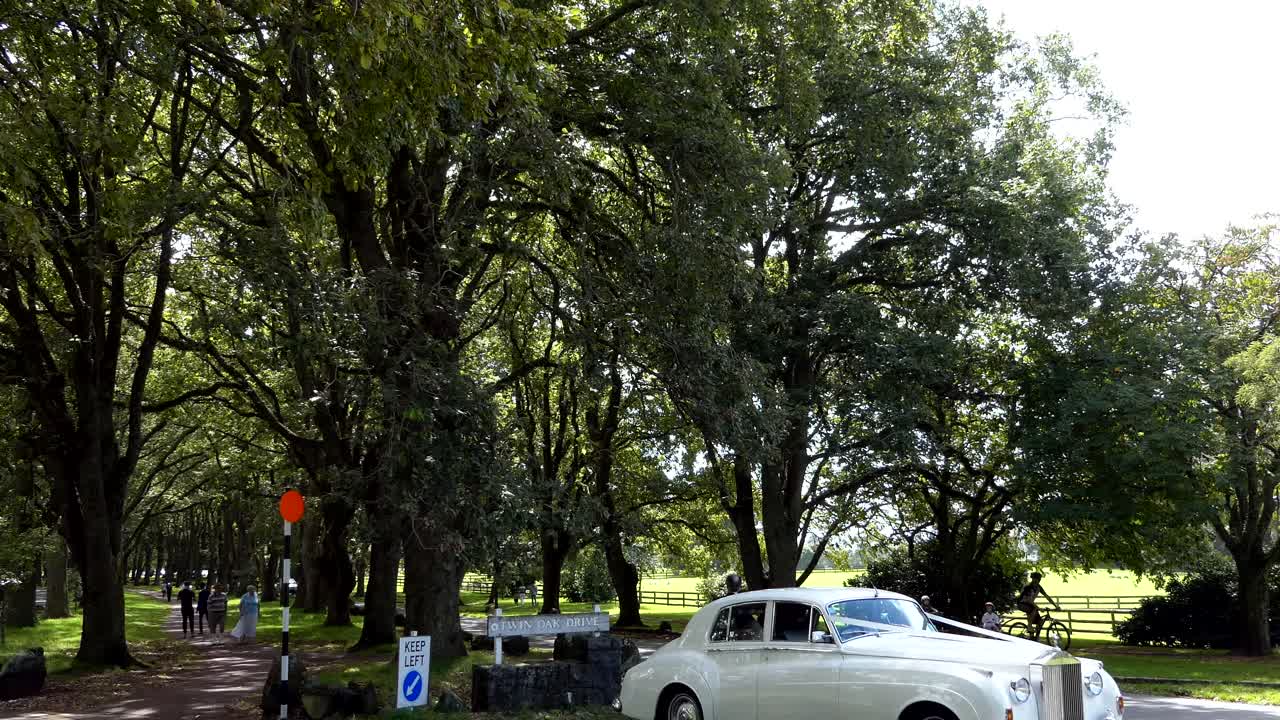 하얀 웨딩 카 또는 리무진의 샷