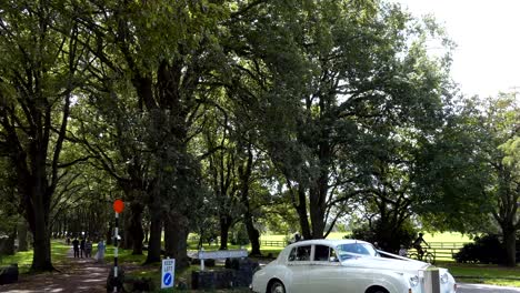 shot of white wedding car or limo