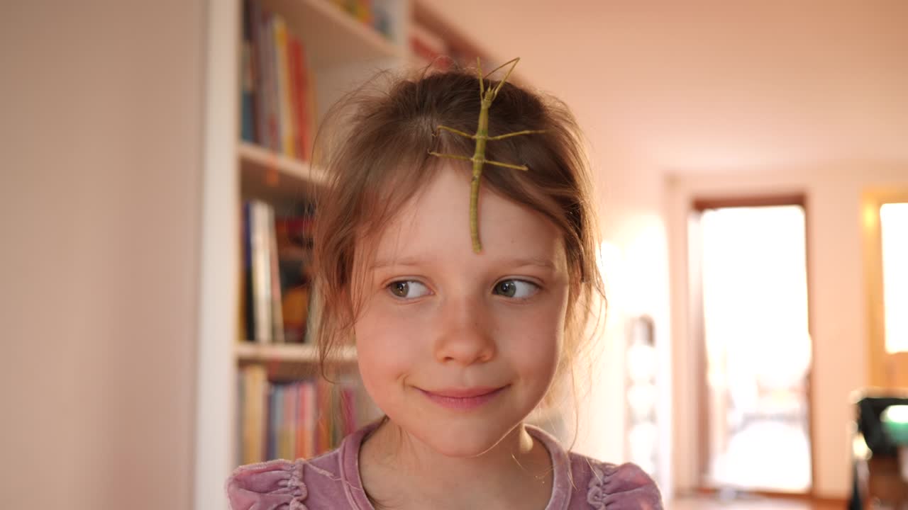 el retrato de una niña linda sostiene una mascota de insecto en las manos y se la pone en la cara en casa divertirse y sonreír