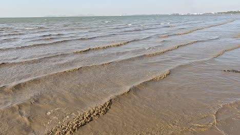 brown water waves on the shore