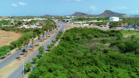 carretera tropical bordeada de palmeras de coco en la isla de curacao, avión no tripulado