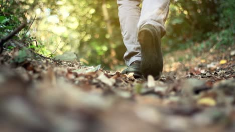 walking autumn forest lonely man 1