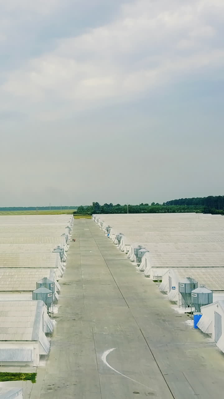 Poultry Farm Buildings. Aerial view over big poultry agricultural farm Vertical video