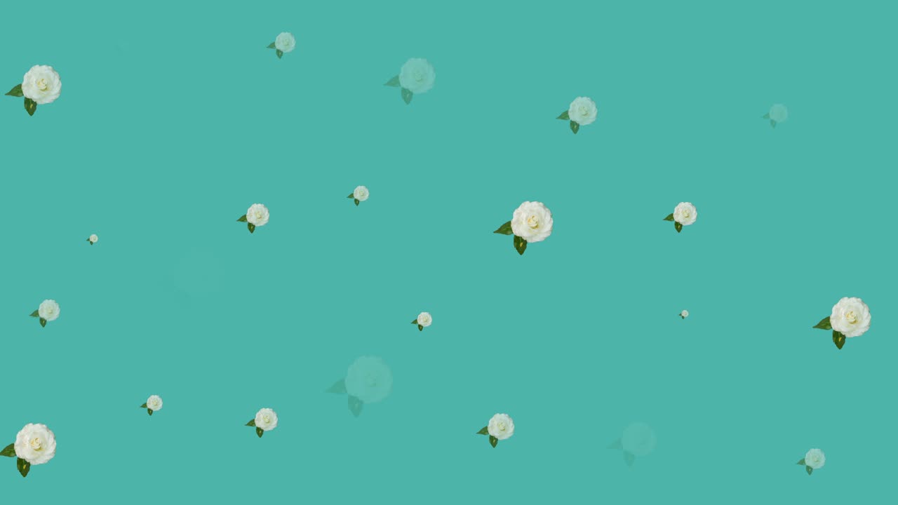 파란색 배경에서 최면 운동으로 움직이는 꽃의 애니메이션