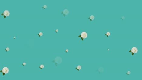 animation of flowers moving in hypnotic motion on blue background