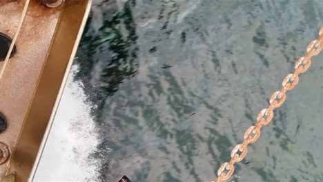 dolphins swimming along rusting ship anchor at sea