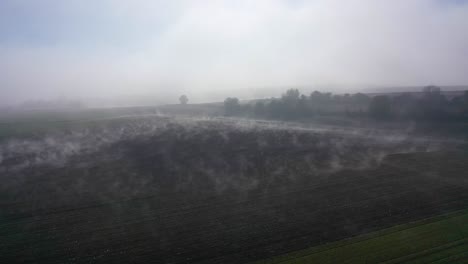 low fog clouds over cultivated farm fields with birds flying above