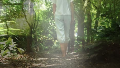 composite video of forest pathway against rear view of woman walking in the forest