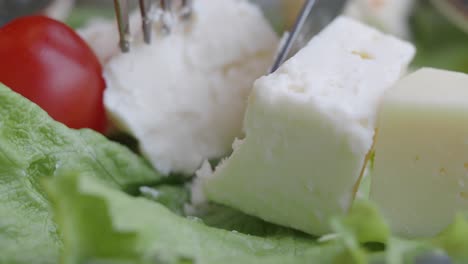 cheese and salad appetizer