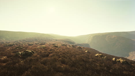 autumn grass on the stones against the backdrop of rocks