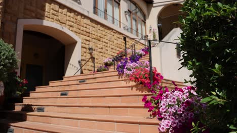 vibrant flowers decorate a sunny residential staircase