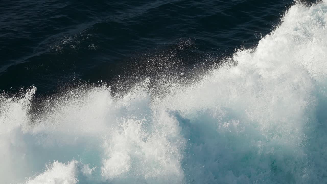 강렬한 하 ⁇  물의 평화로운 매력을 드러내는 클로즈업 영상, 휴식과 평온을 초대합니다.