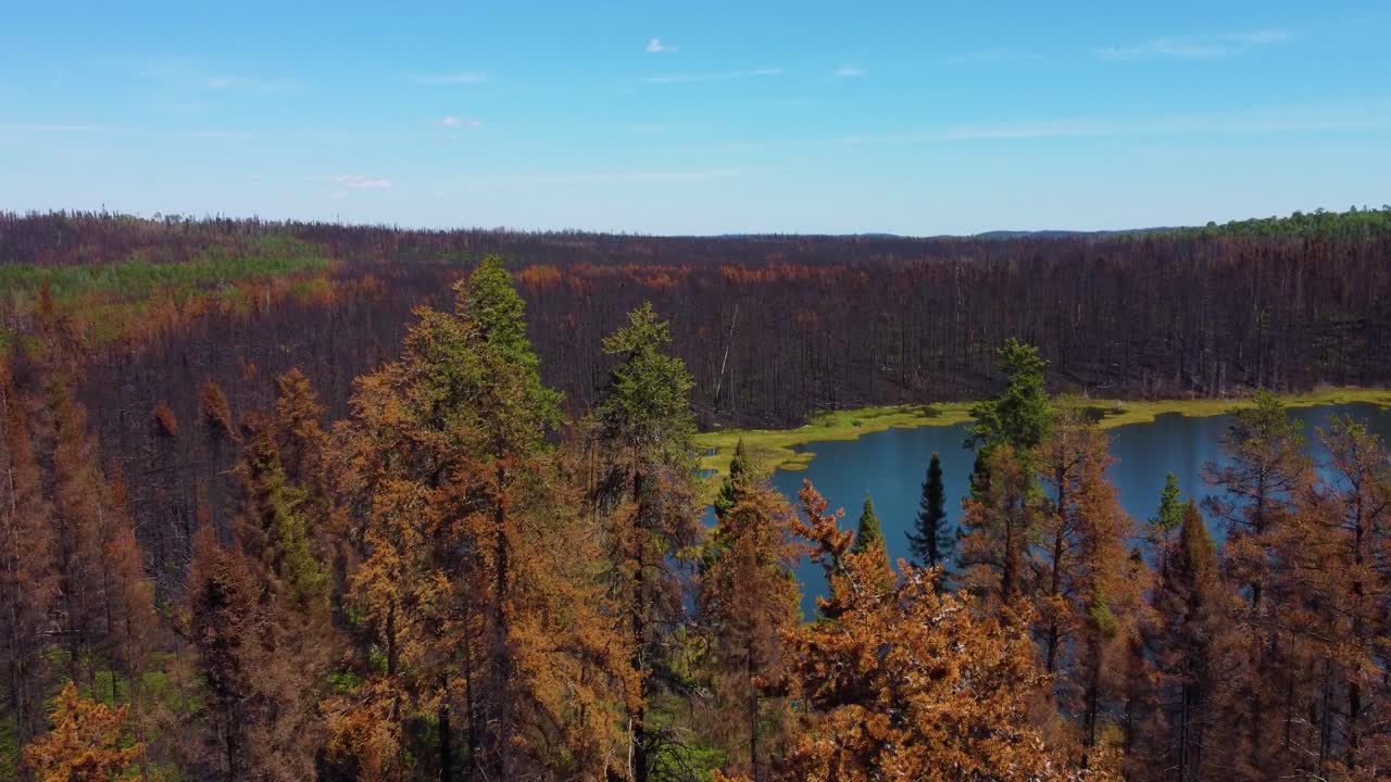 Bird's eye view shows part of the burned area in the nature of the province of Quebec