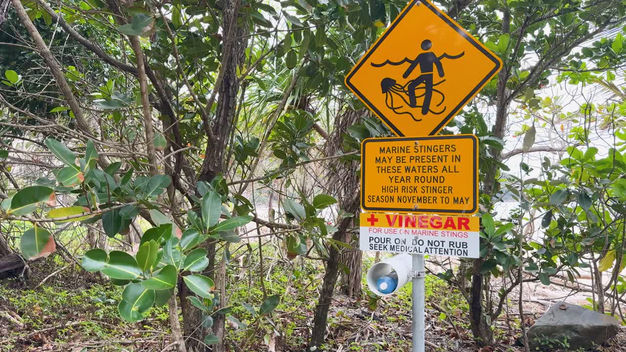 A warning sign in Port Douglas, Australia, alerts about box jellyfish danger. Surrounded by lush greenery, emphasizing safety and awareness