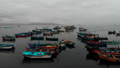 flying low above fishing boats on the sea
