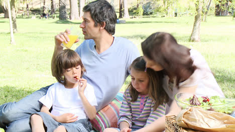 family having a picnic