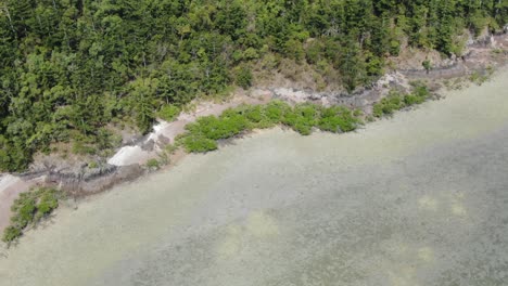 Rapid-drone-descending-view-over-coast-and-vegetation-of-Whitsundays-islands-in-Australia