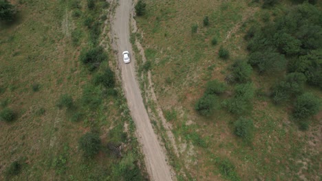 white car on a country road, aerial view