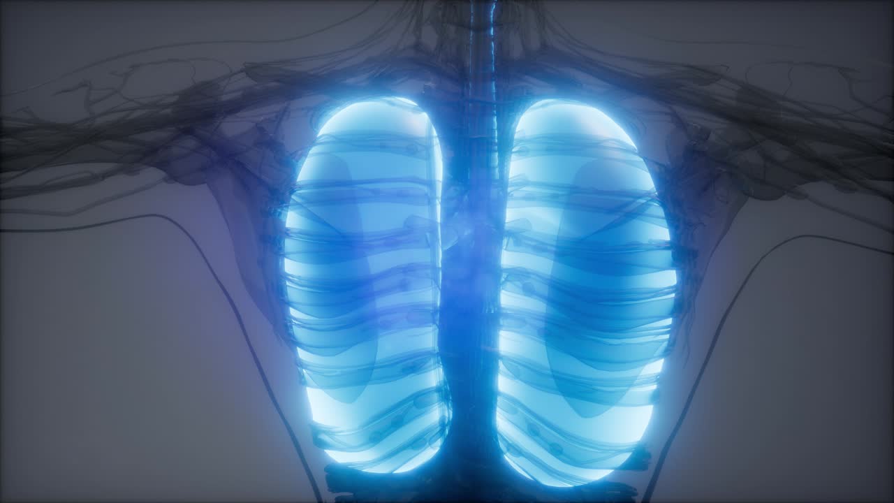 examen radiológico de los pulmones humanos