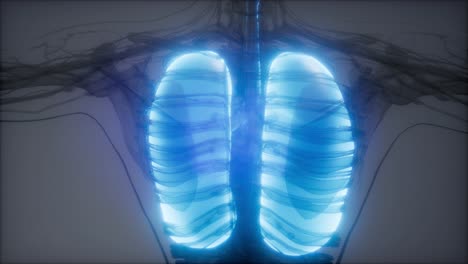 examen radiológico de los pulmones humanos