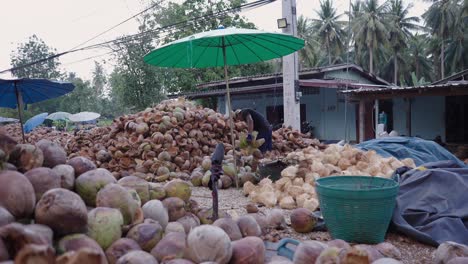 outdoor coconut processing and market in asia