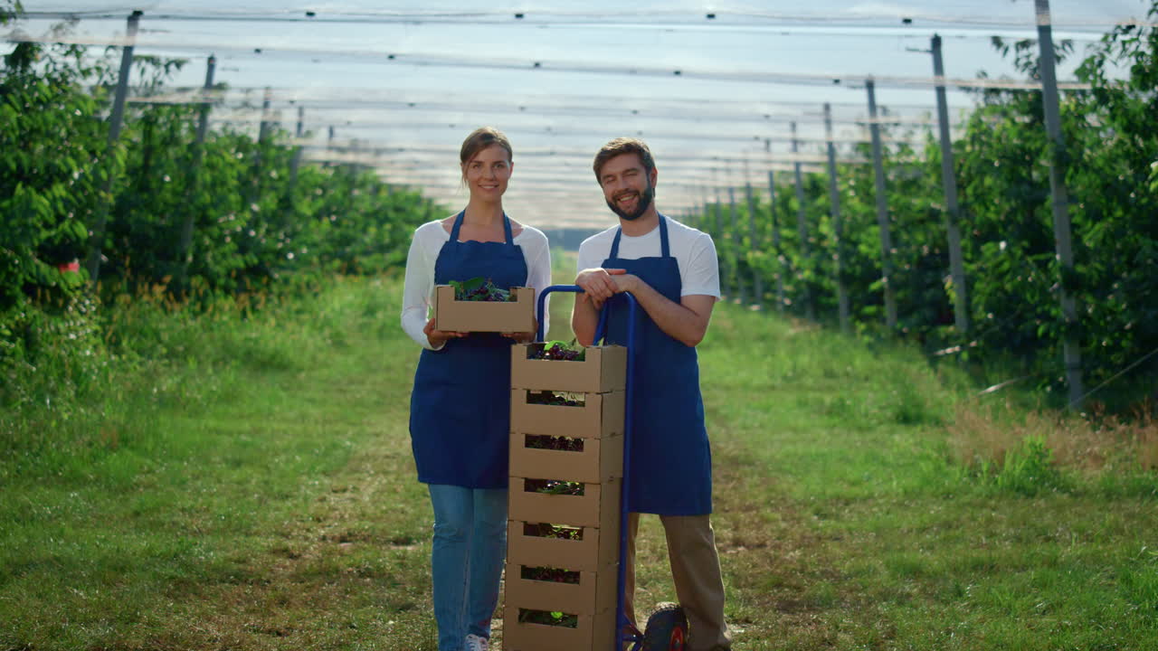 una pareja atractiva sosteniendo una caja de bayas en un jardín moderno de verano soleado. concepto de granja.