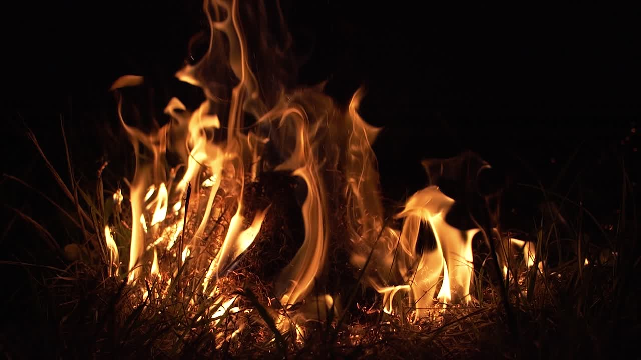 incendio forestal en la noche