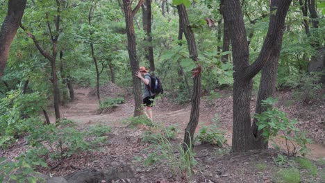 male tourist hiker walks down the mountain road trail path in the forest of south korea in summer side view