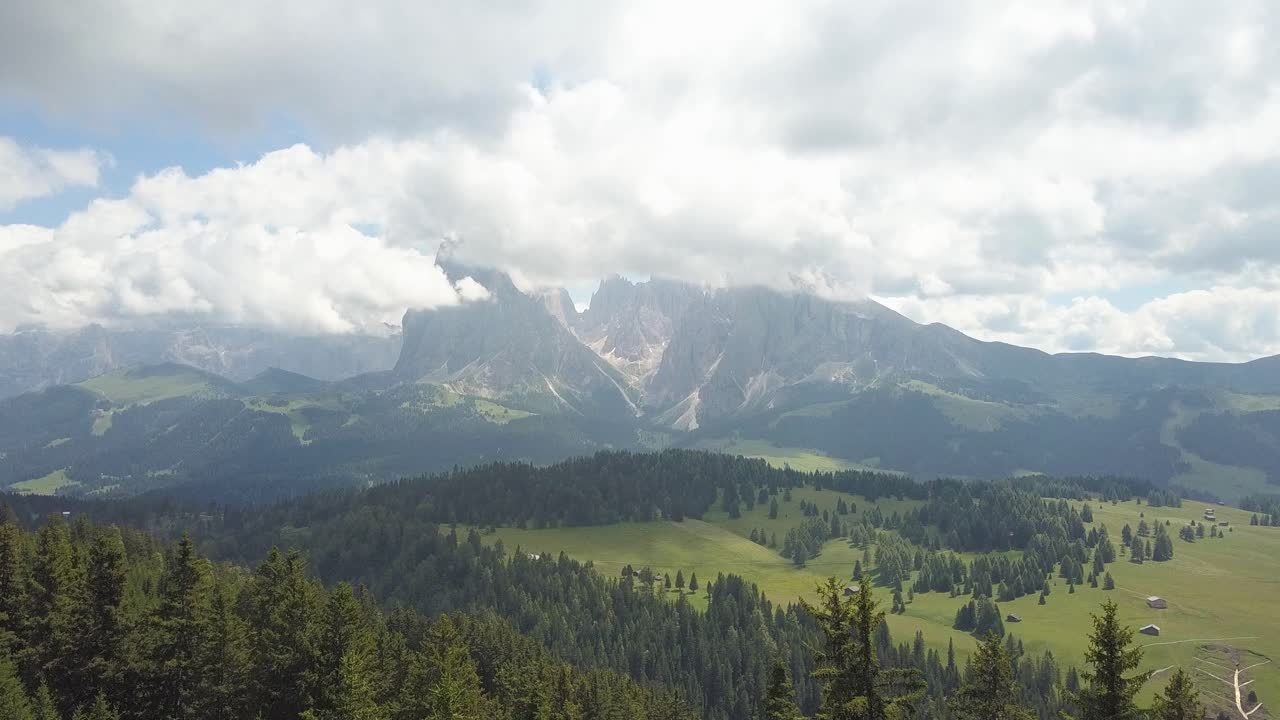 Volo aereo sopra una pineta, con catene montuose sullo sfondo, sull'Alpe di Siusi, a Ortisei, Tirolo, Italia.
