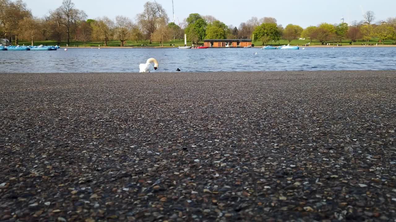 시립 공원에서 보행자, 달리기 선수, 자전거 타는 사람의 다리가 저속으로 닫힙니다.