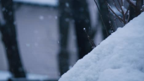 nieve cayendo sobre una pequeña colina en cámara lenta en invierno