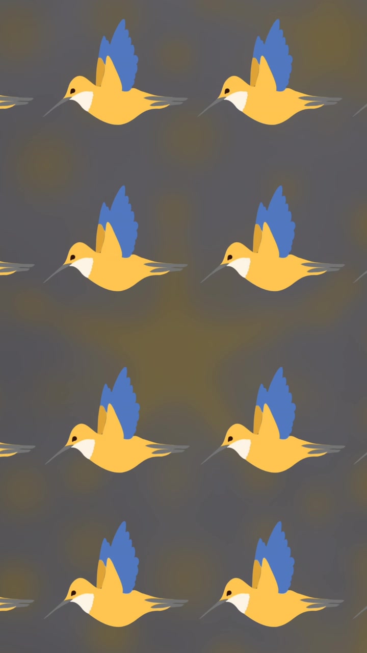 Animation af fuglemønster, der bevæger sig over slørede stjerner